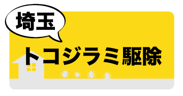 埼玉県のトコジラミ駆除