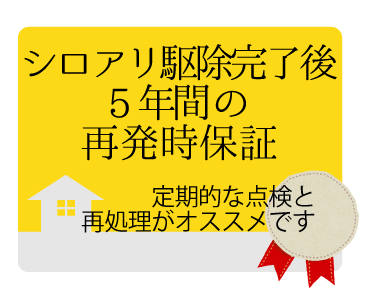 シロアリ駆除後5年間の再発保証