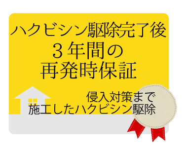 ハクビシン駆除の再発保証は最大3年間・施工条件により異なります