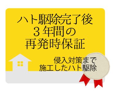 鳩駆除の再発保証は最大3年間・施工条件により異なります