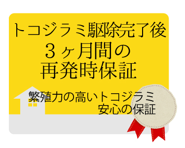 トコジラミ駆除の再発保証は最大3ヶ月・施工条件により異なります