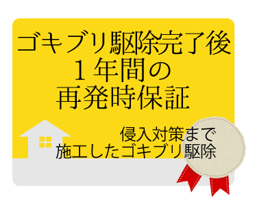 埼玉県のゴキブリ駆除後1年間の再発保証