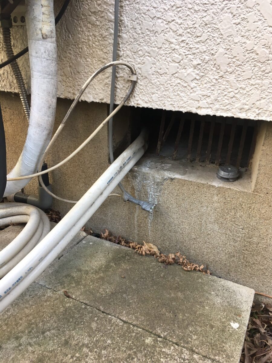 建物の基礎にあるネズミの侵入口