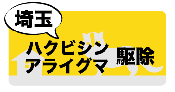 埼玉県のハクビシン・アライグマ駆除