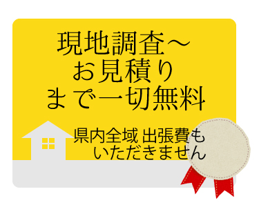 埼玉県のコウモリ駆除は現地調査からお見積りまで一切無料