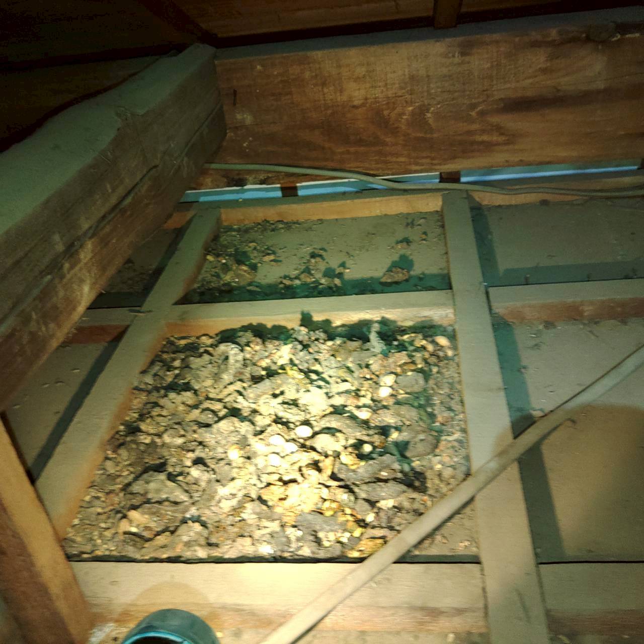 杉戸町の害獣駆除:天井裏の一角に集中している汚れの状態