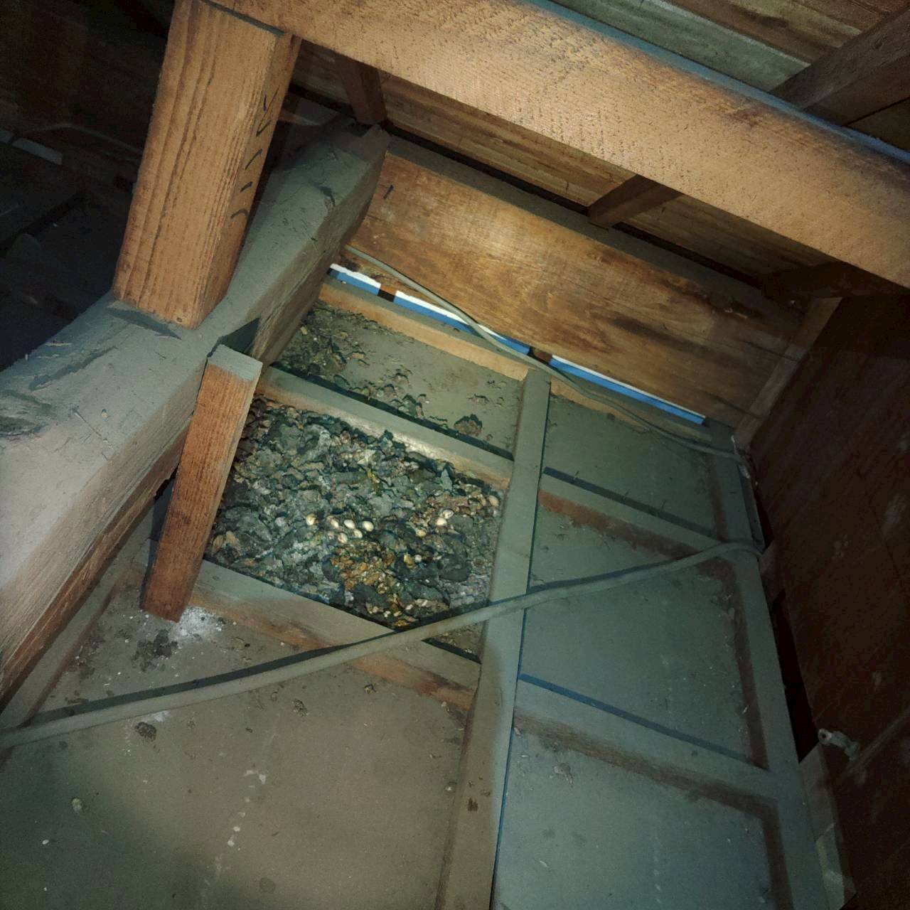 杉戸町の害獣駆除:梁の周囲にたまった汚れを広く確認