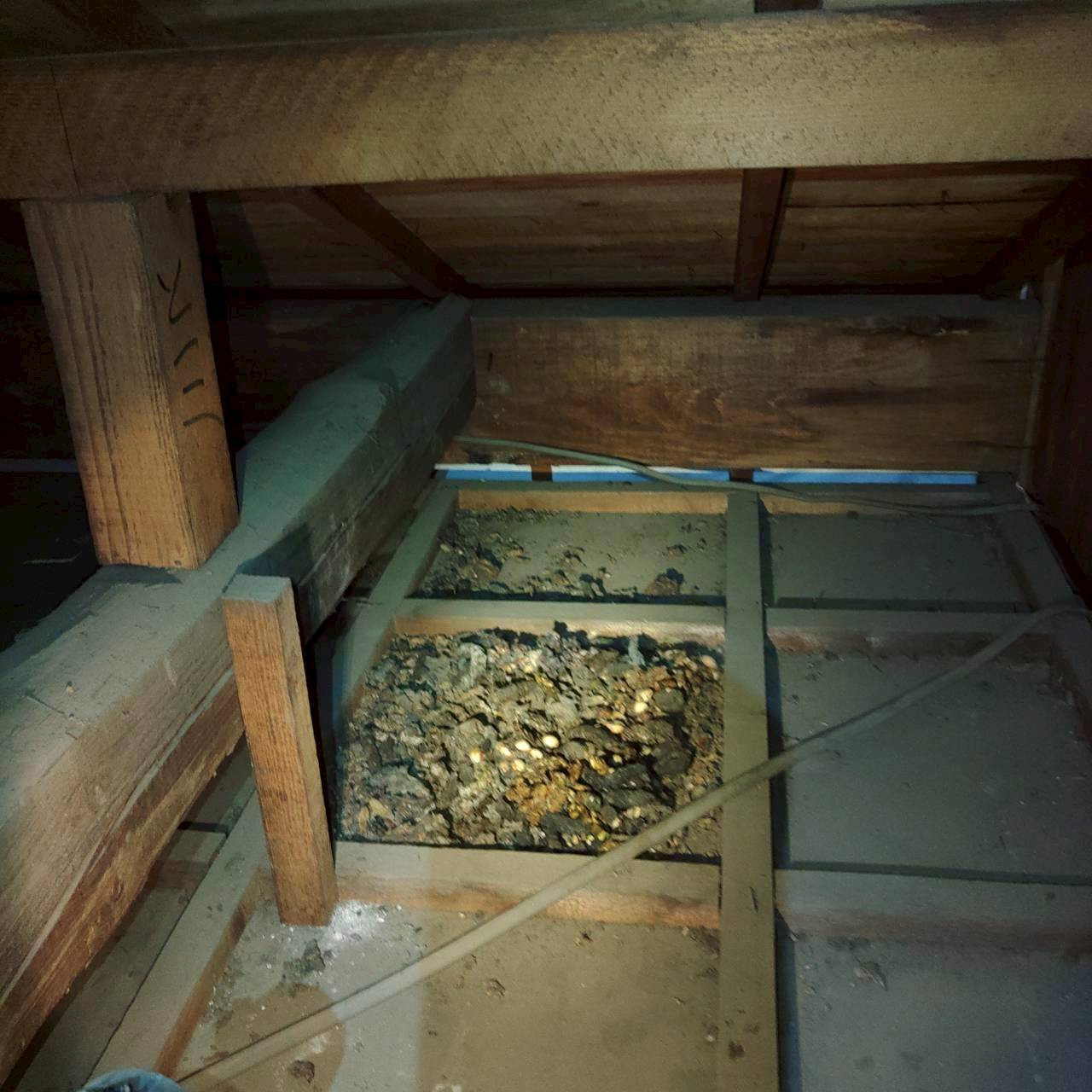 川越市の害獣駆除：天井裏の一角にたまった害獣による汚れ
