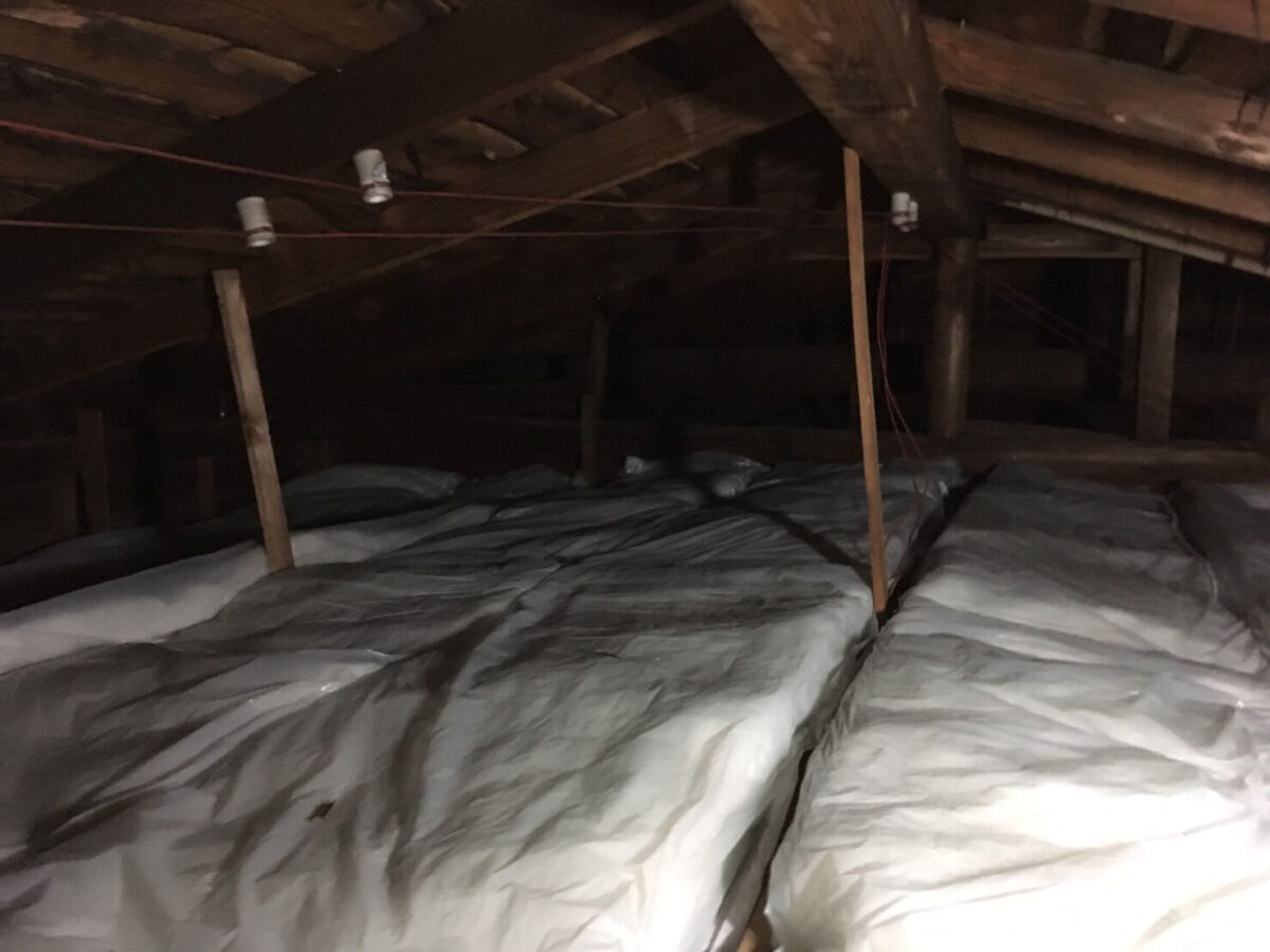 志木市の害獣駆除：天井裏全体に敷かれた断熱材の点検