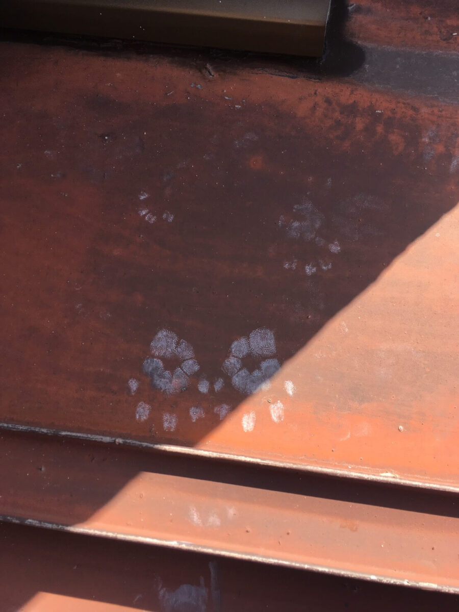 吉川市の害獣駆除：金属部分に残った害獣の足跡