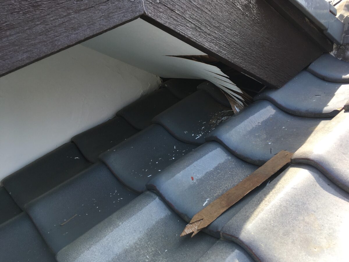 八潮市の害獣駆除:瓦屋根の脇で開いている軒まわりの確認