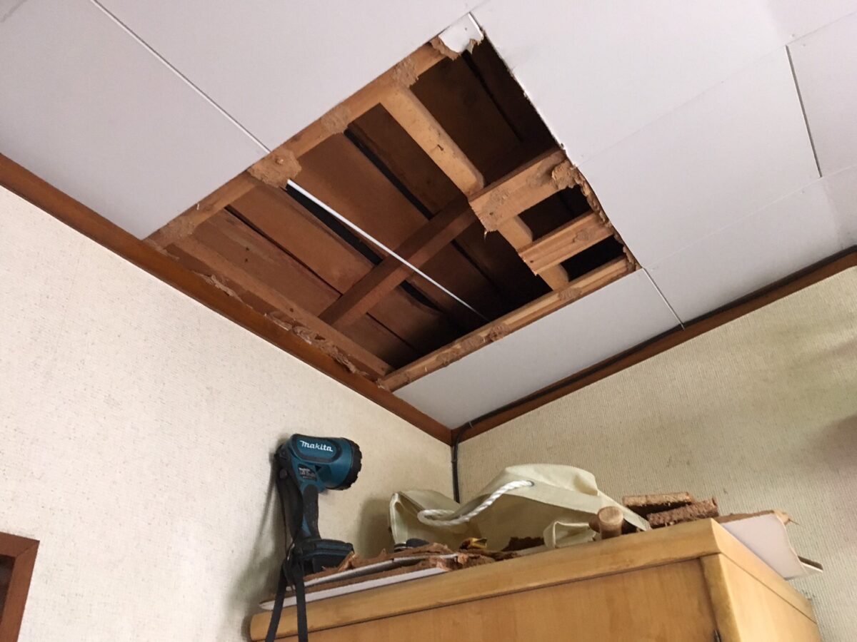 新座市の害獣駆除：室内から天井内部を確認するための開口部