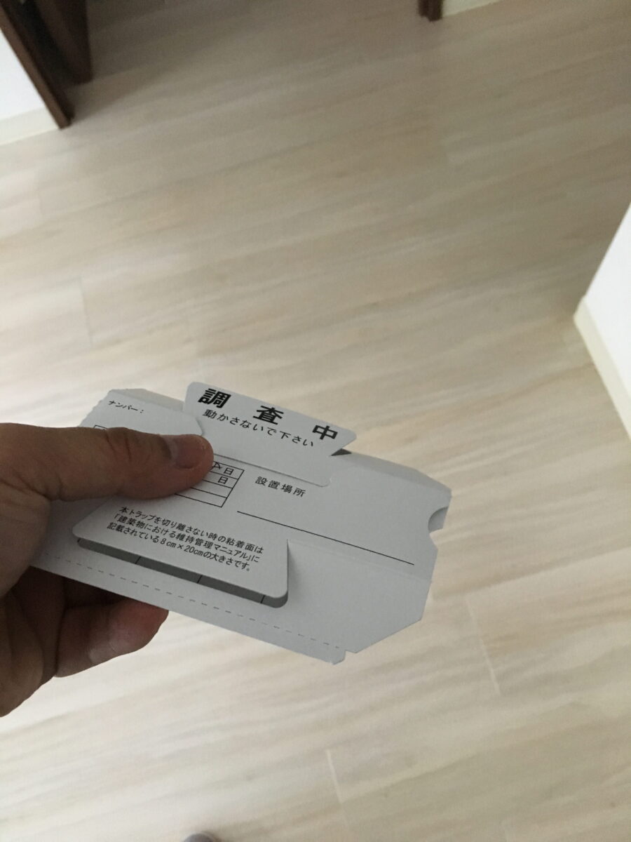 調査に使うトラップの準備