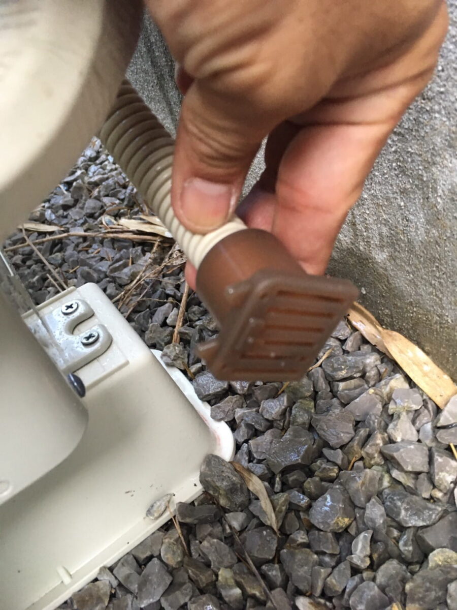 排水ホース先端の防虫用部材を確認