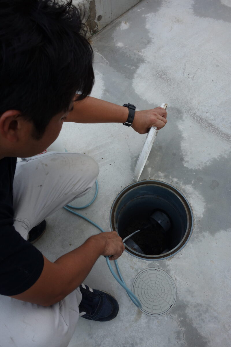 屋外の排水ますを開けて内部を確認
