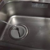 9月でもゴキブリに注意｜残暑で見かけやすい理由と早めの対策