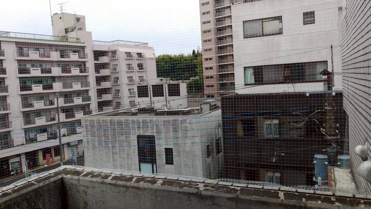 越谷市の鳩駆除:手すり側までつなげたベランダの防鳥ネット