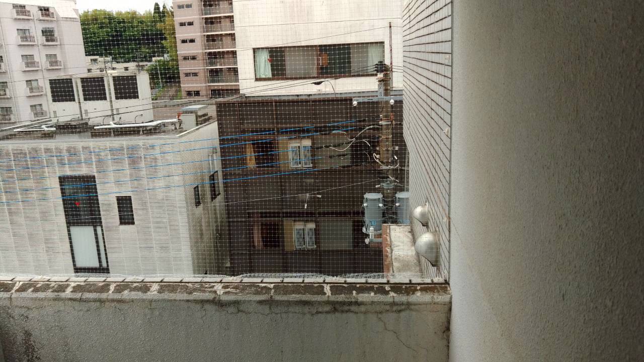 蕨市の鳩駆除：ベランダ内側への鳩の侵入を防ぐネット
