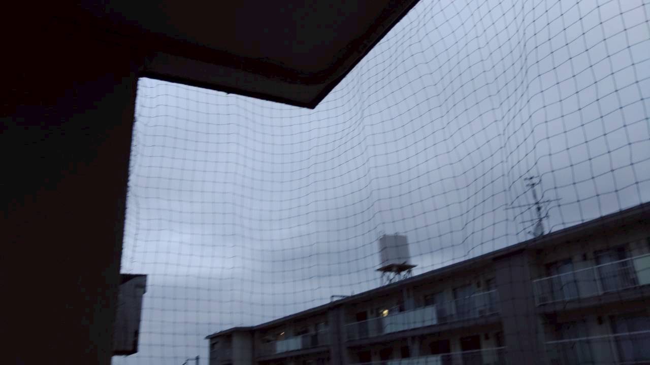 桶川市の鳩駆除：開口部全体に張った鳩よけネット