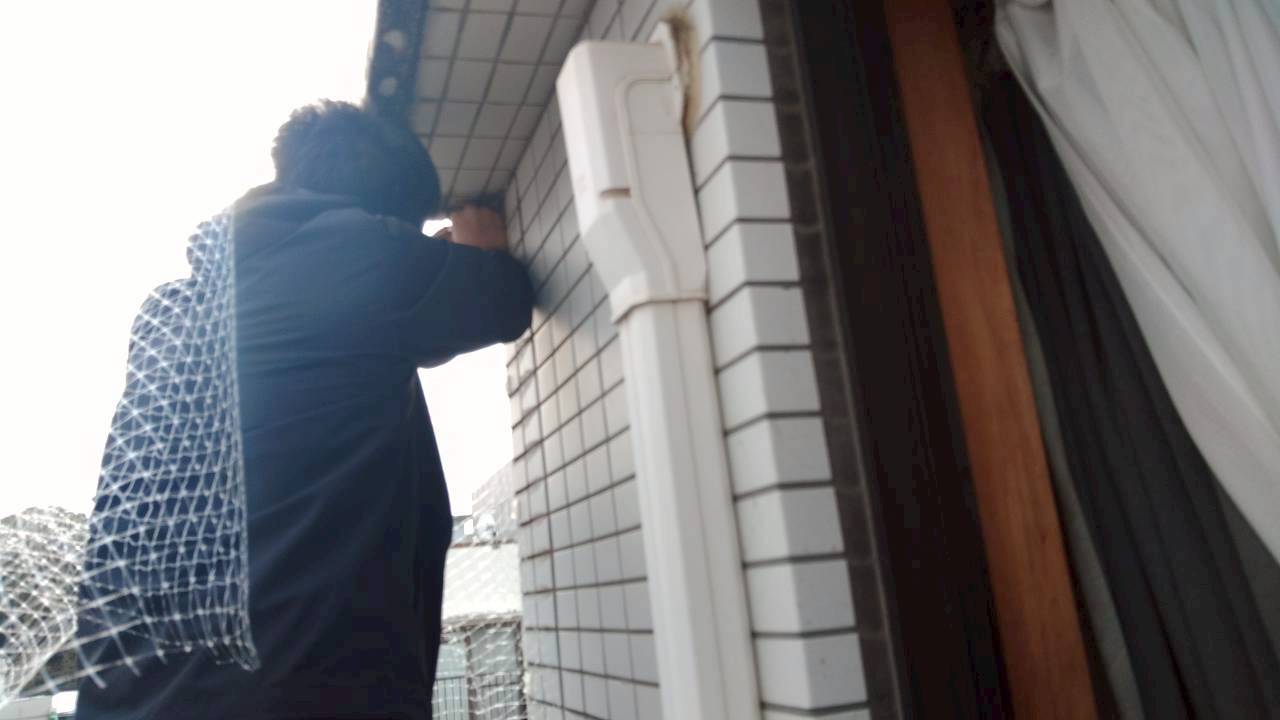 富士見市の鳩駆除：壁際で防鳥ネットを固定する作業