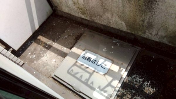 鳩が同じ場所に来る理由とは？ベランダや室外機まわりで注意したいサイン