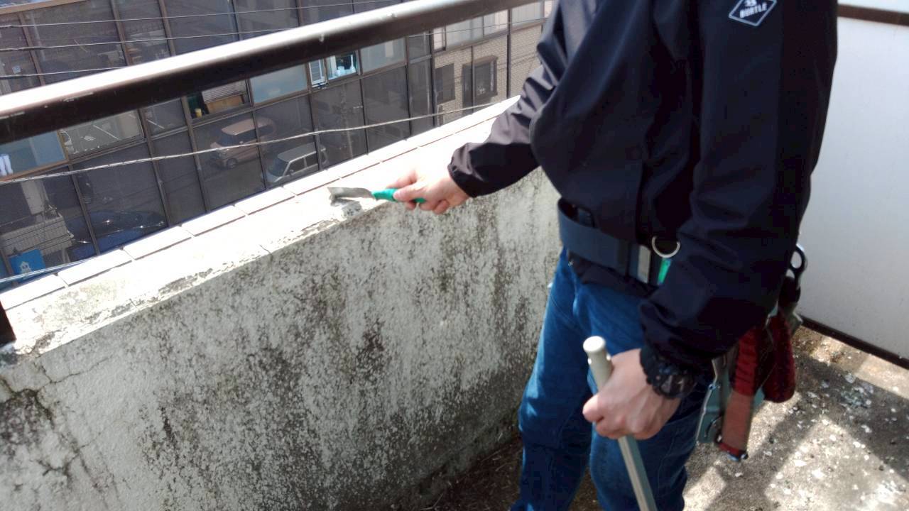 春日部市の鳩駆除：手すりまわりで行う鳩被害後の清掃作業