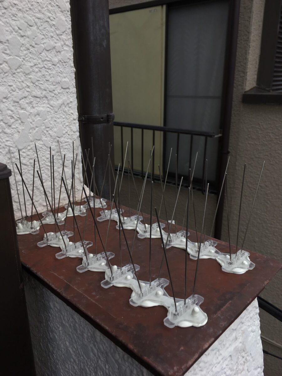 川口市の鳩駆除:壁の出っ張りに設置した鳩よけスパイク