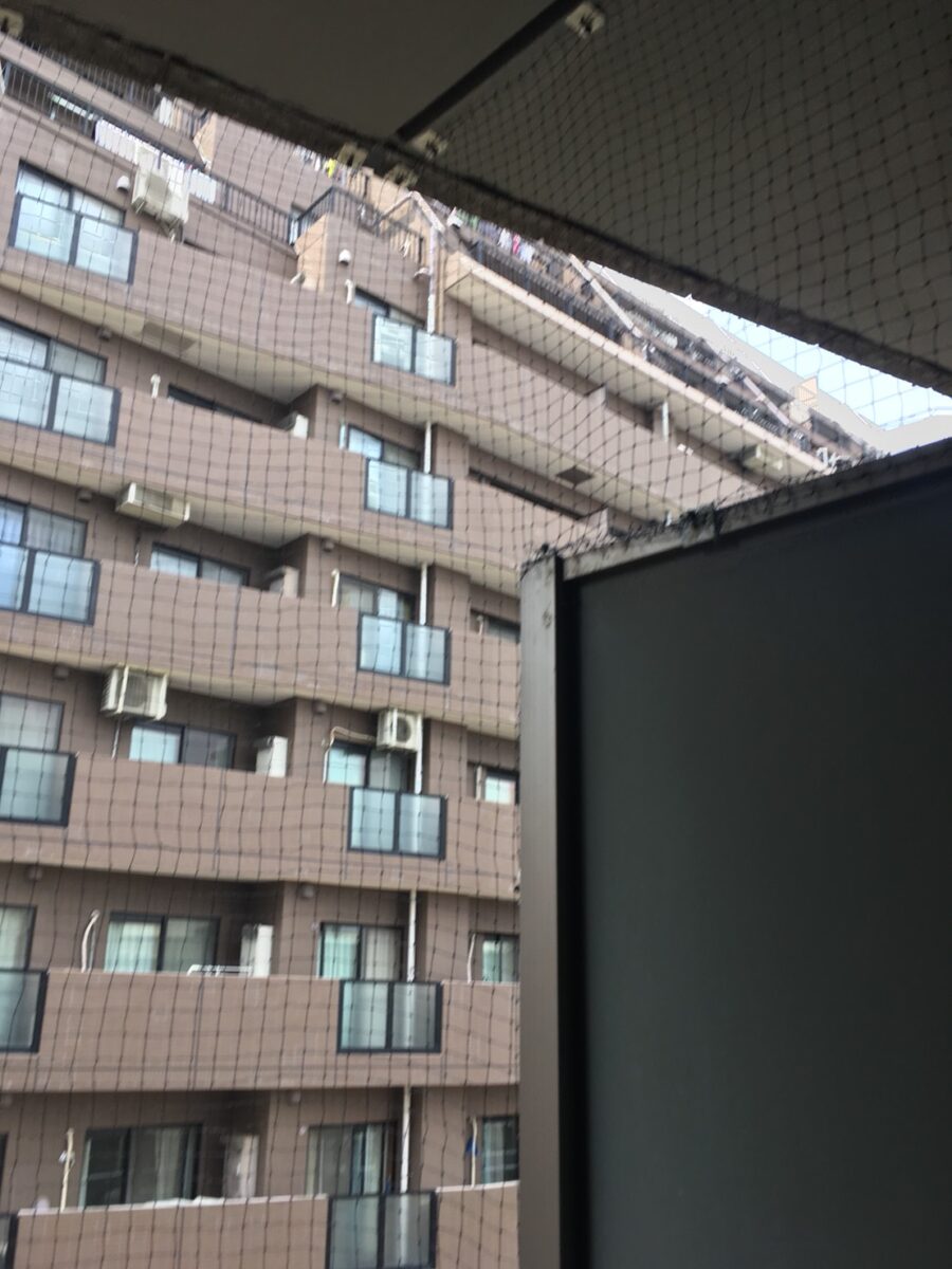 八潮市の鳩駆除：ベランダ上部まで覆う鳩よけネット