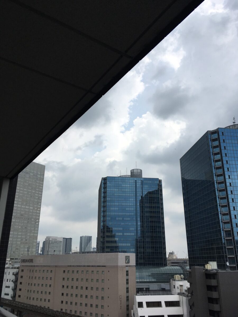 和光市の鳩駆除：ベランダの軒側まで覆った防鳥ネット