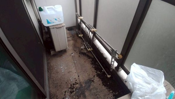 室外機まわりに鳩が入り込むのはなぜ？夏に注意したいベランダ被害