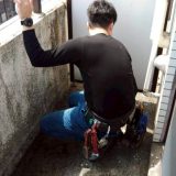 ベランダの鳩フンを放置しない方がよい理由｜夏に注意したい鳩被害