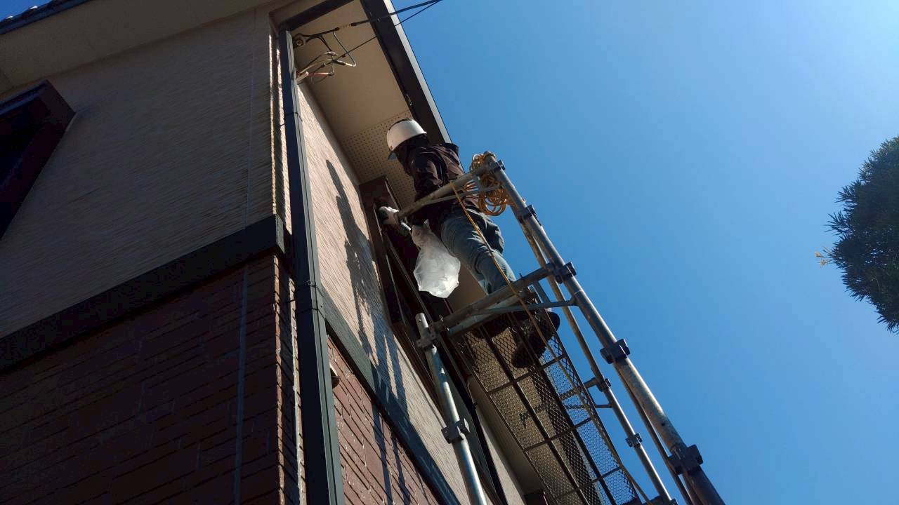 鴻巣市のコウモリ駆除:はしごと作業足場を使った高所のコウモリ対策