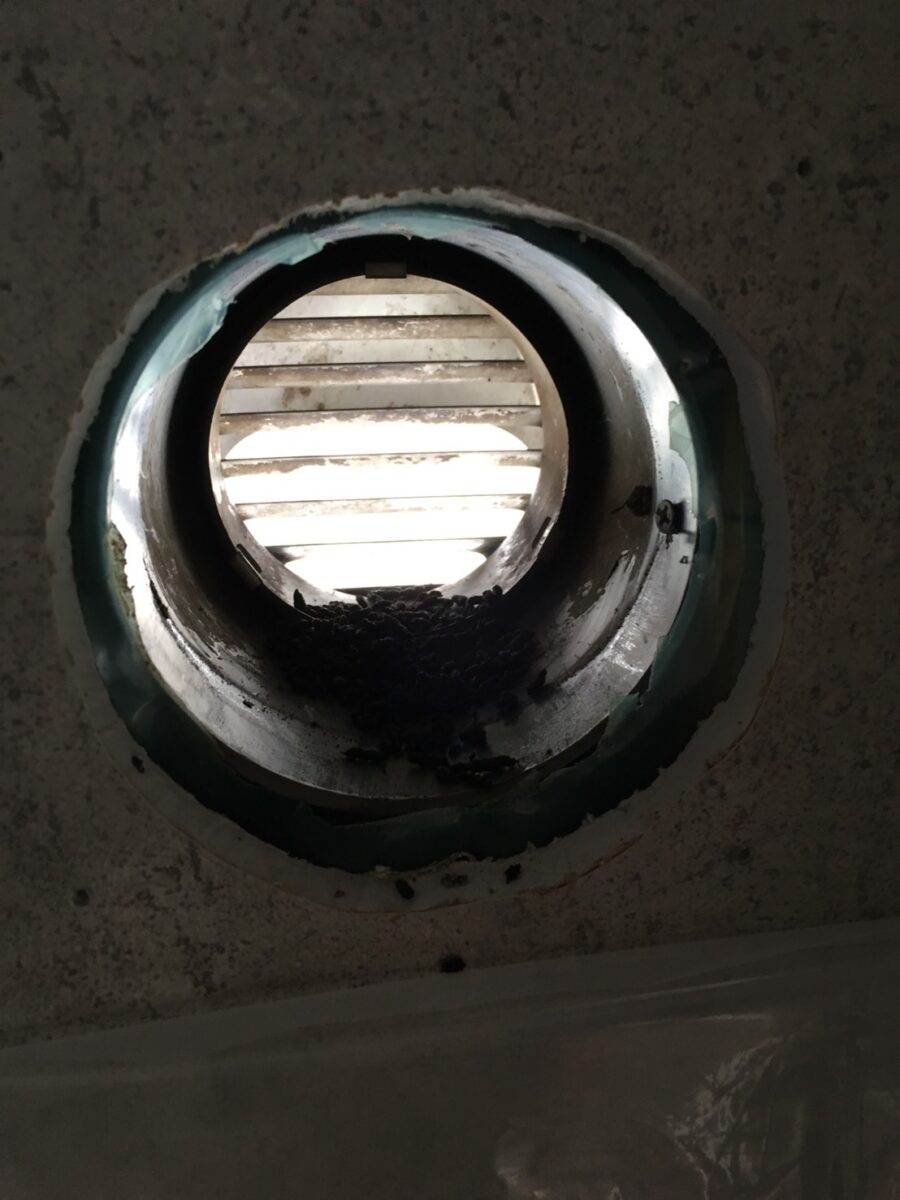 志木市のコウモリ駆除：室内側から確認した換気口の内部