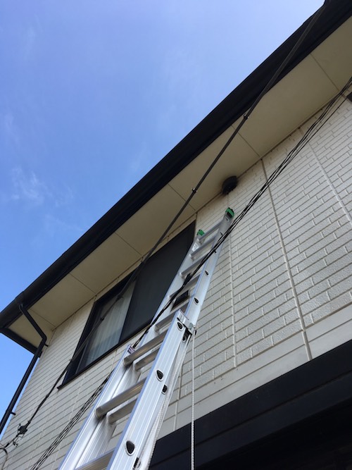 三郷市のコウモリ駆除:2階のコウモリ対策で使用するはしご
