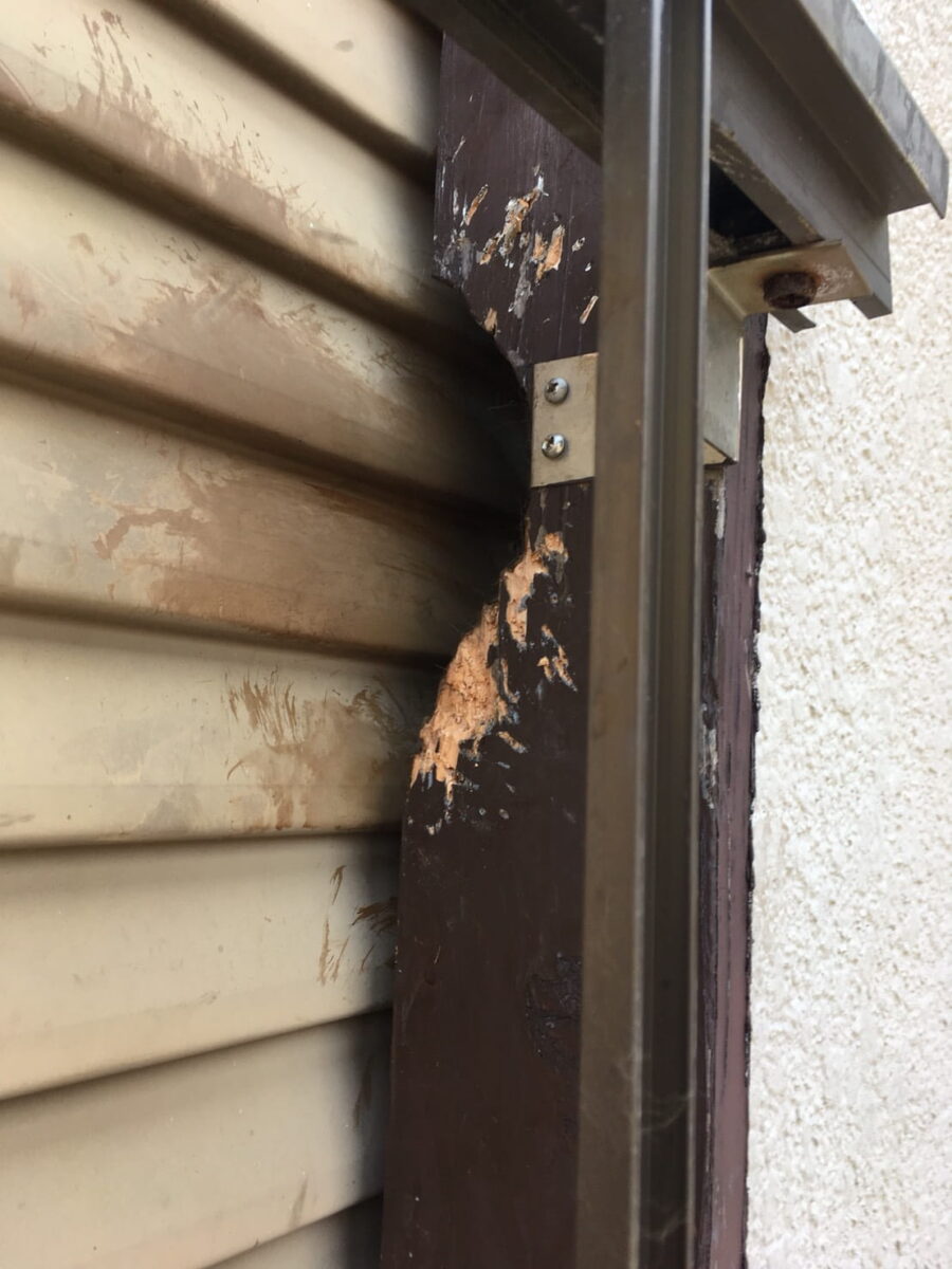 雨戸脇の傷みからネズミが入れないか確認