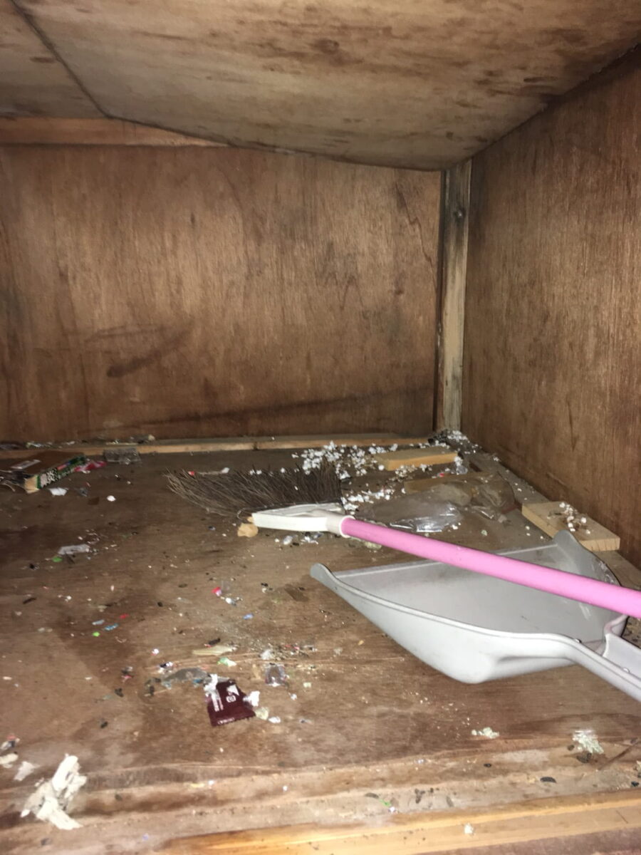 ネズミ被害の確認とあわせて収納内を清掃