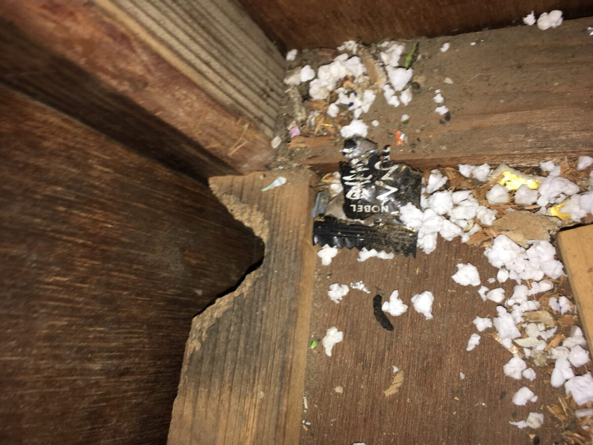 収納の隅の散乱物とネズミの痕跡を確認