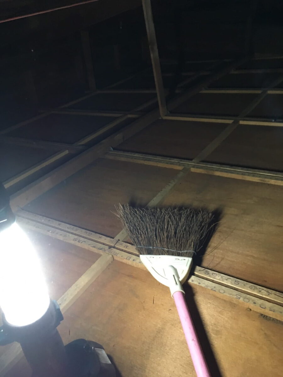 ネズミ被害への対応として天井裏を清掃