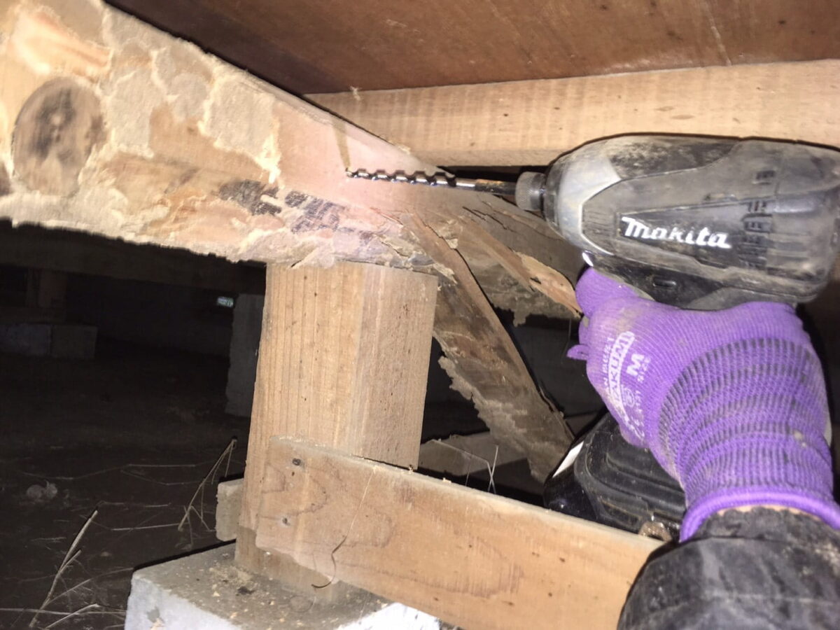 床下の木部にドリルで穴を開けるシロアリ対策の作業