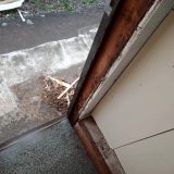 蕨市のシロアリ駆除の施工事例：扉脇の枠の足元と内部の木部を確認します