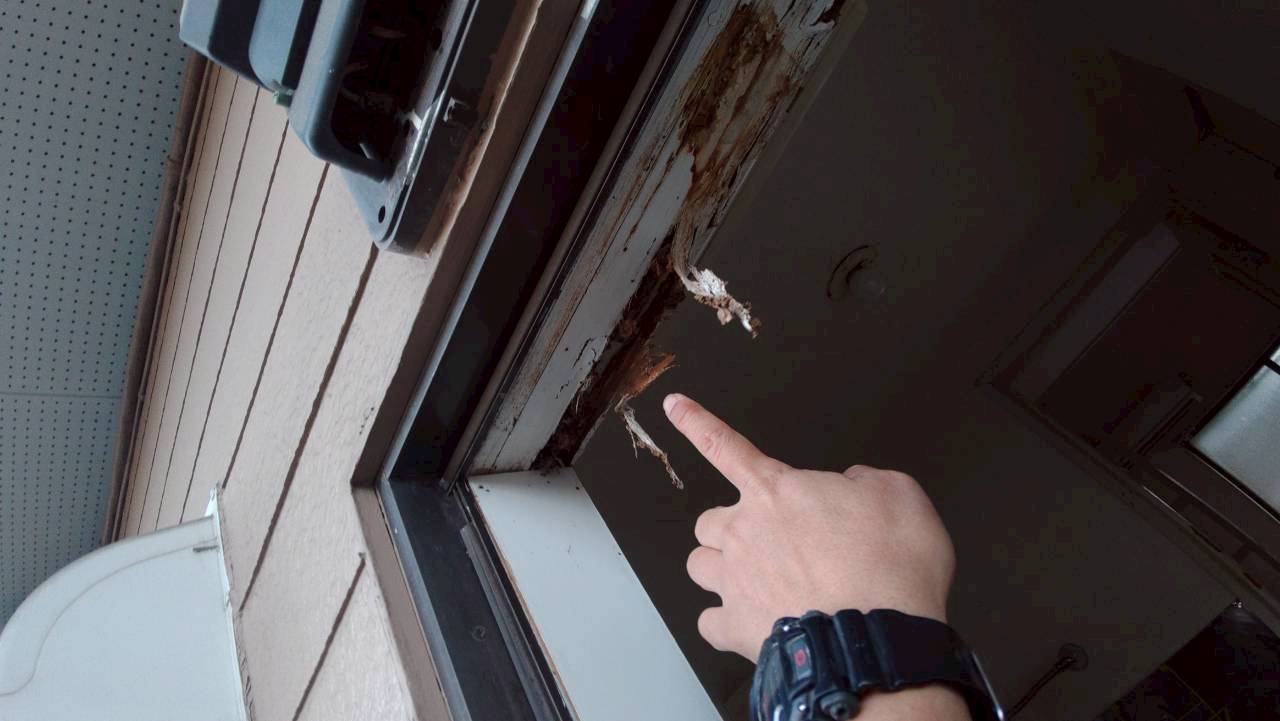 開口部にある木材の傷みを確認